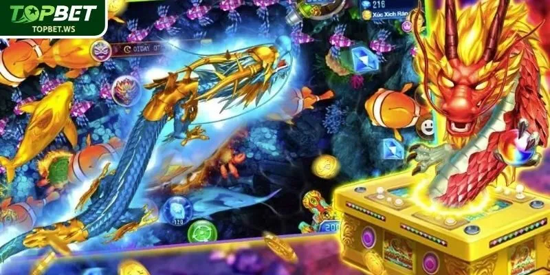 Phòng tham gia chính thức