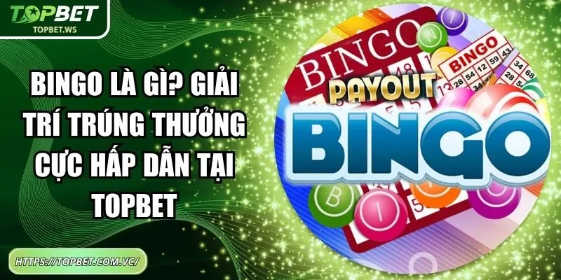 Bingo Là Gì? Giải Trí Trúng Thưởng Cực Hấp Dẫn Tại Topbet
