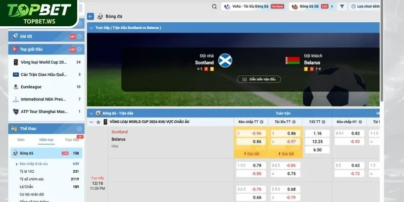 Loại hình châu Á